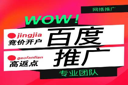 信息流广告投放公司案例策略解析